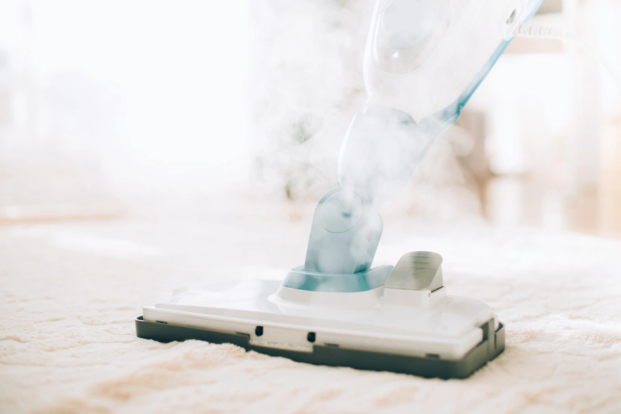 How Steam Cleaning Enhances Curb Appeal in Silverton, OR