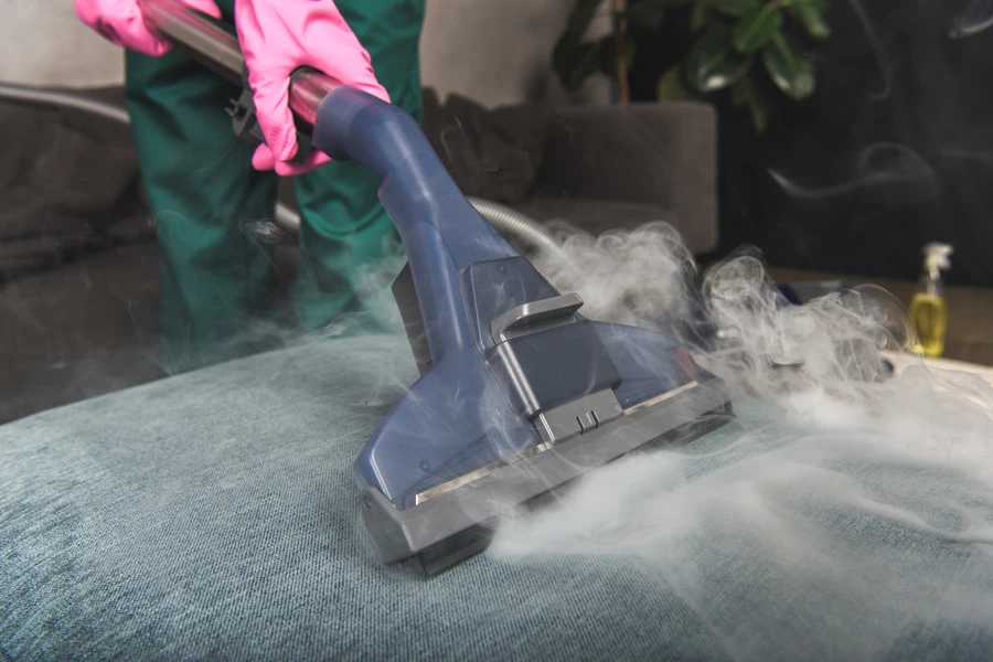 How Steam Cleaning Helps Preserve Paint And Siding in Silverton, OR